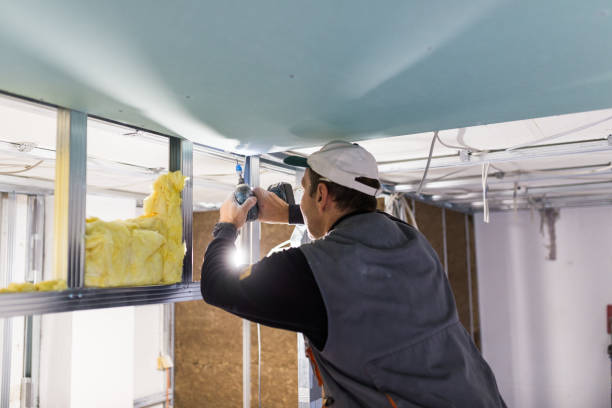 Best Insulation Air Sealing  in Big Lake, MN