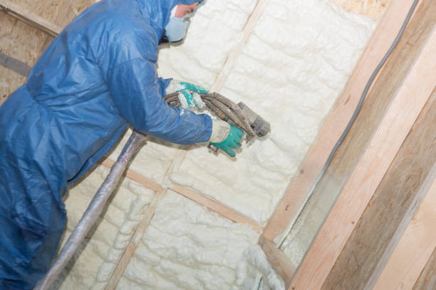 Best Insulation for Metal Buildings  in Big Lake, MN