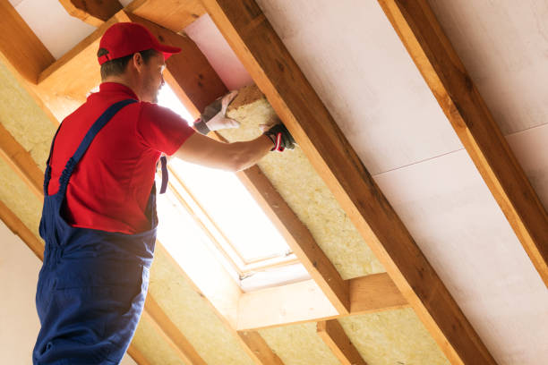 Best Spray Foam Insulation  in Big Lake, MN